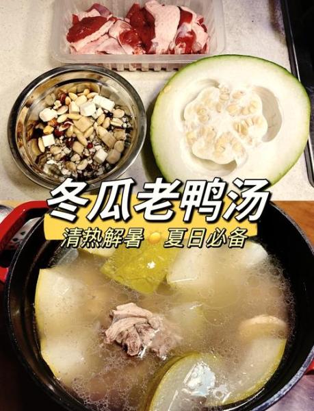 冬瓜炖鸭肉的做法