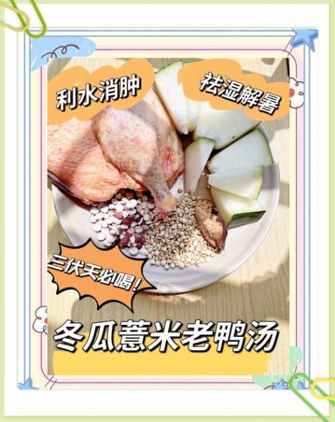 薏米冬瓜老鸭汤有哪些详细的做法?