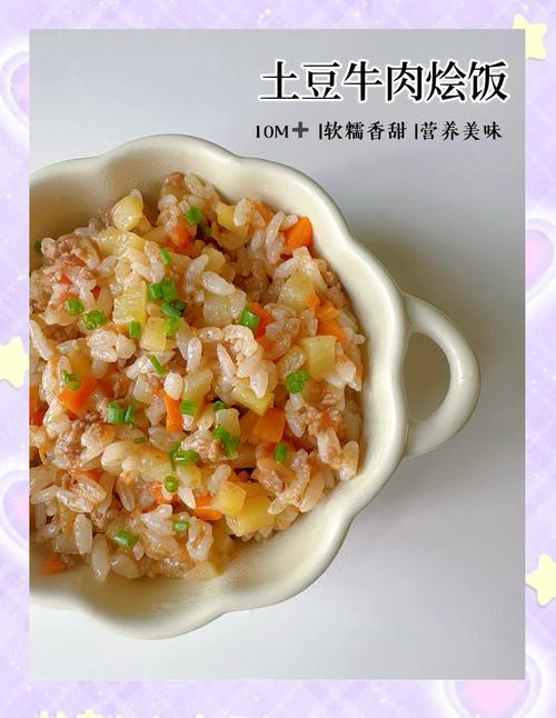牛肉烩饭的做法宝宝(炖牛肉饭的做法)