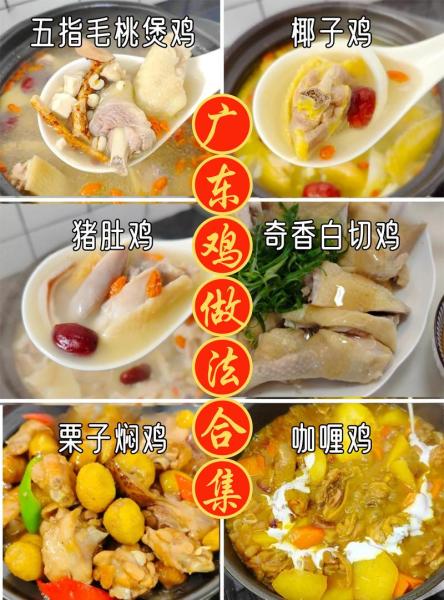 鸡煲的做法大全家常鸡煲的烹饪方法