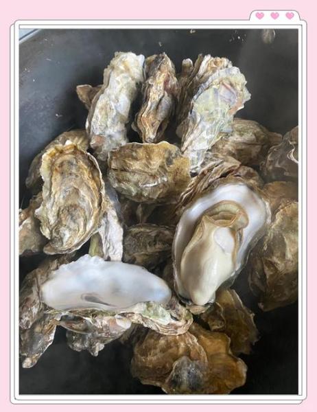 清水煮生蚝的做法