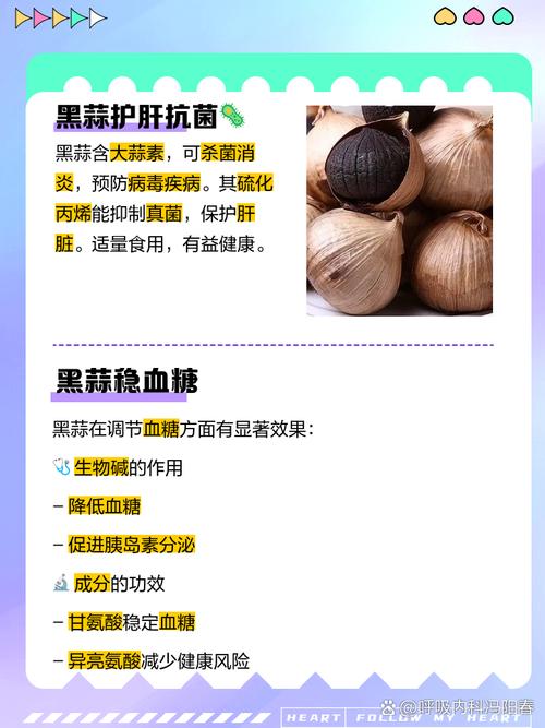 黑蒜炖汤的做法大全