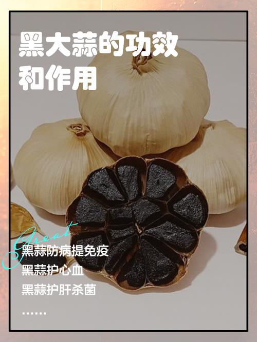 黑蒜煲汤的做法大全