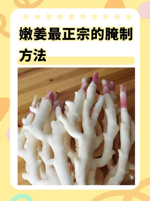家常腌生姜的正确做法