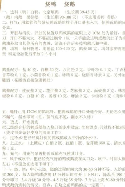 广东味黄焖鸭怎样做