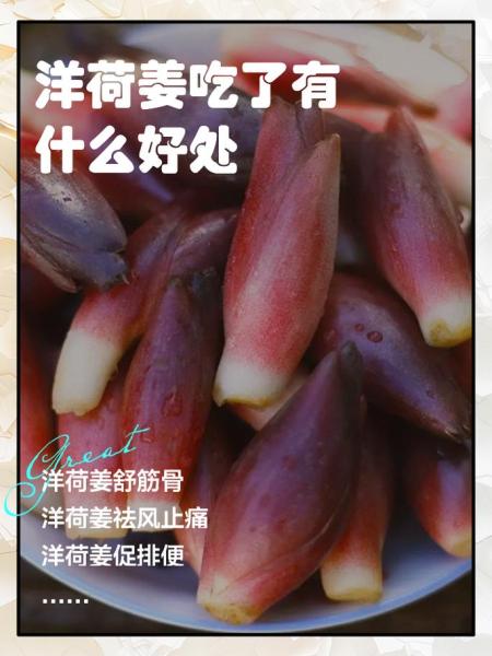 洋荷姜怎么吃