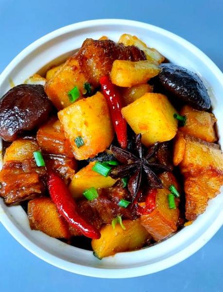 炖肉的做法家常做法