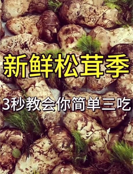 野生松菇是营养丰富的美味佳食,野生松菇有哪些好吃的制作方法?
