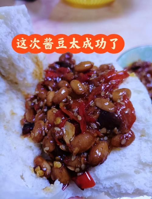 小白一看就会的晒干的酱豆子怎么做好吃