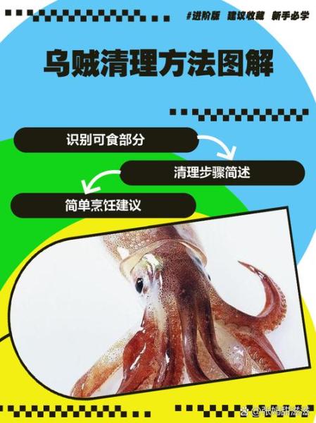 爆炒乌贼怎么做好吃