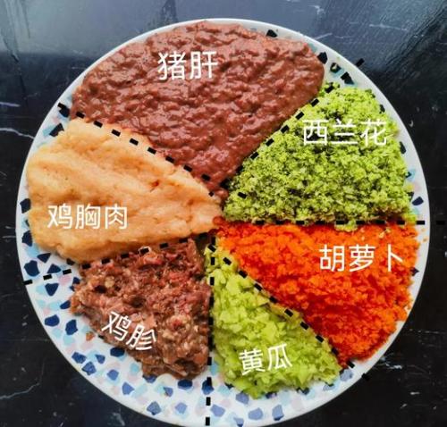 泰迪狗狗自制营养食谱?
