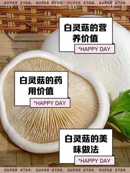 白灵菇怎么做好吃(白灵菇怎么吃)