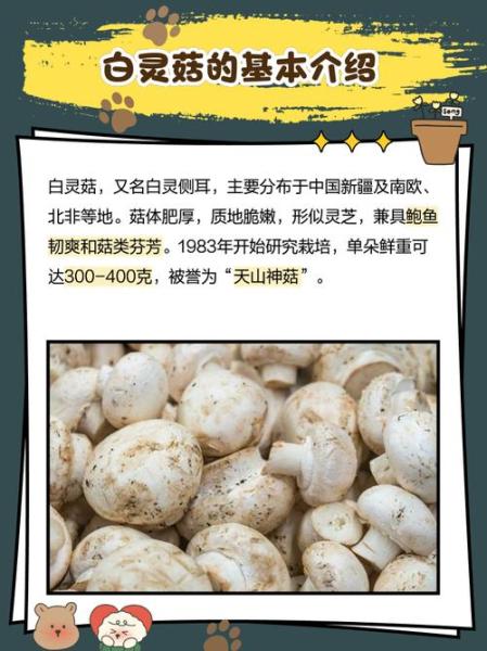 冰镇白灵菇怎么做?你没听错!白灵菇冰镇这样吃!冰镇白灵菇的做法...