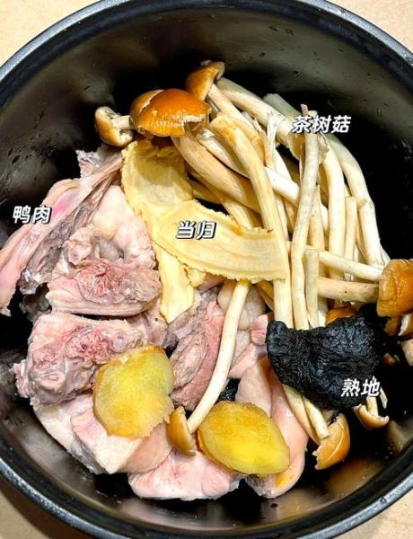 清炖洋鸭的做法